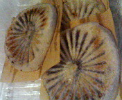 c0046340_22575655.jpg