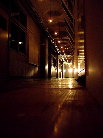 e0006242_1531026.jpg