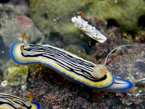 e0041143_2316087.jpg