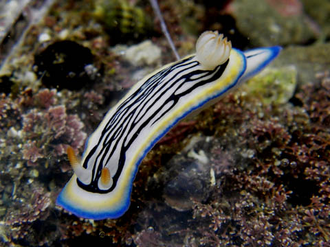 e0041143_23162530.jpg