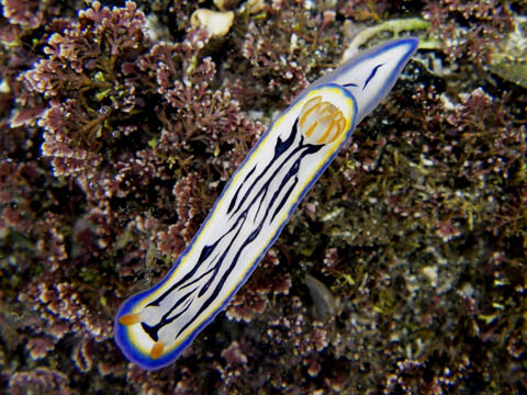 e0041143_23163947.jpg