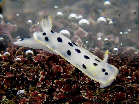 e0041143_23174633.jpg