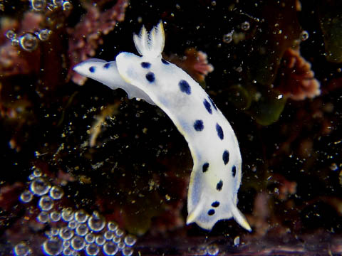 e0041143_2318458.jpg