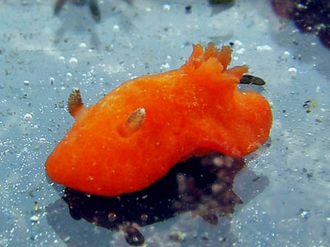 e0041143_23194432.jpg