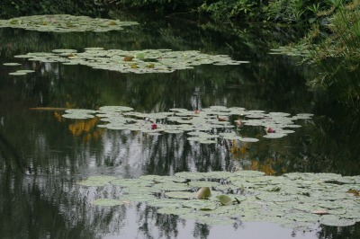 f0042548_740152.jpg