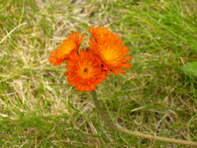 b0049549_20543997.jpg