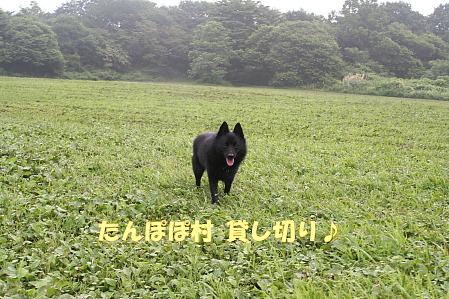 a0009750_13563618.jpg