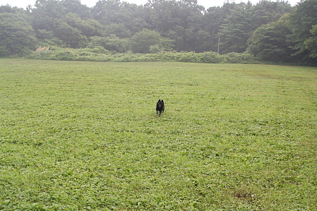 a0009750_13575922.jpg