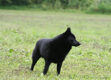 a0009750_13591321.jpg