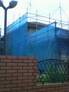 b0071653_17435873.jpg