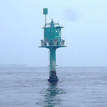 a0018768_146185.jpg