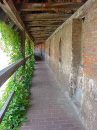 f0032969_21202614.jpg