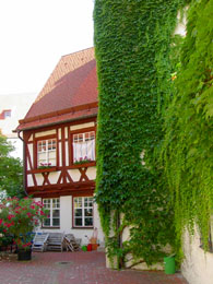 f0032969_21222732.jpg