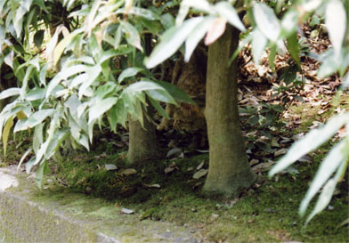 e0036571_040951.jpg