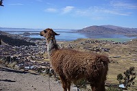 f0059671_01021.jpg