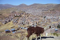 f0059671_0102198.jpg