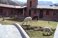 f0059671_011229.jpg
