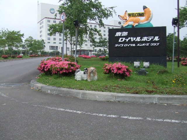 e0050801_23482947.jpg
