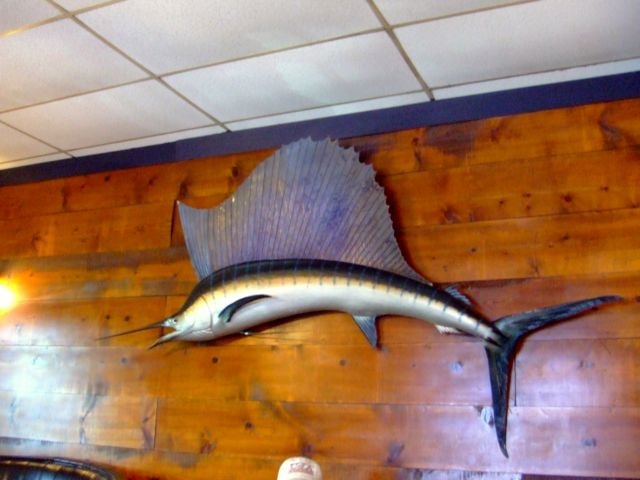 c0062603_1334503.jpg