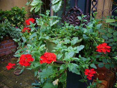 f0065604_229225.jpg
