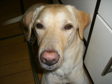 c0083618_2103761.jpg