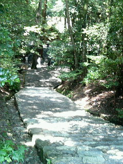 b0019820_17431572.jpg
