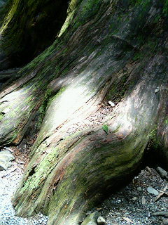 b0019820_17434261.jpg
