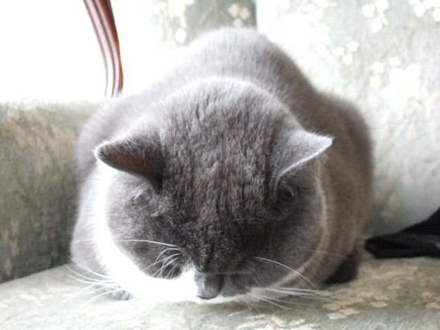 f0032020_11221317.jpg