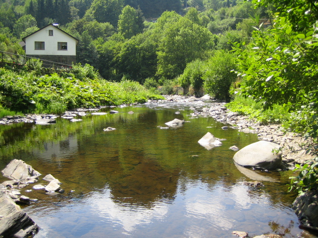 e0063923_162359.jpg