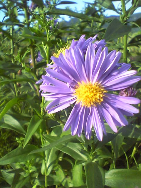 b0062024_17292171.jpg