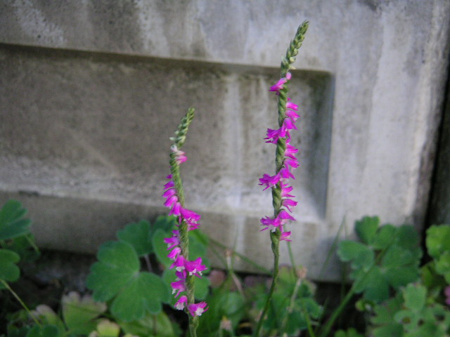 a0020929_18444291.jpg