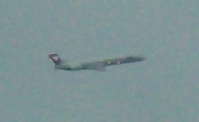 b0029438_0374329.jpg