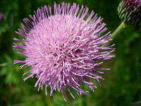 b0016043_9472756.jpg