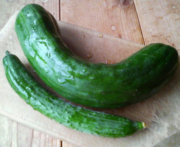f0088647_21381041.jpg