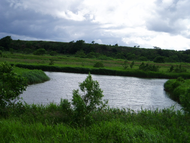 d0018763_23132451.jpg
