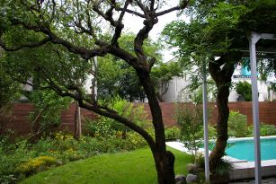 f0077663_20111554.jpg