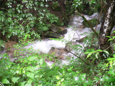 a0063364_0242429.jpg