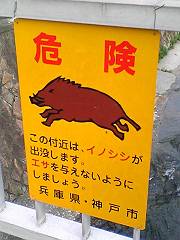 f0001378_2256891.jpg