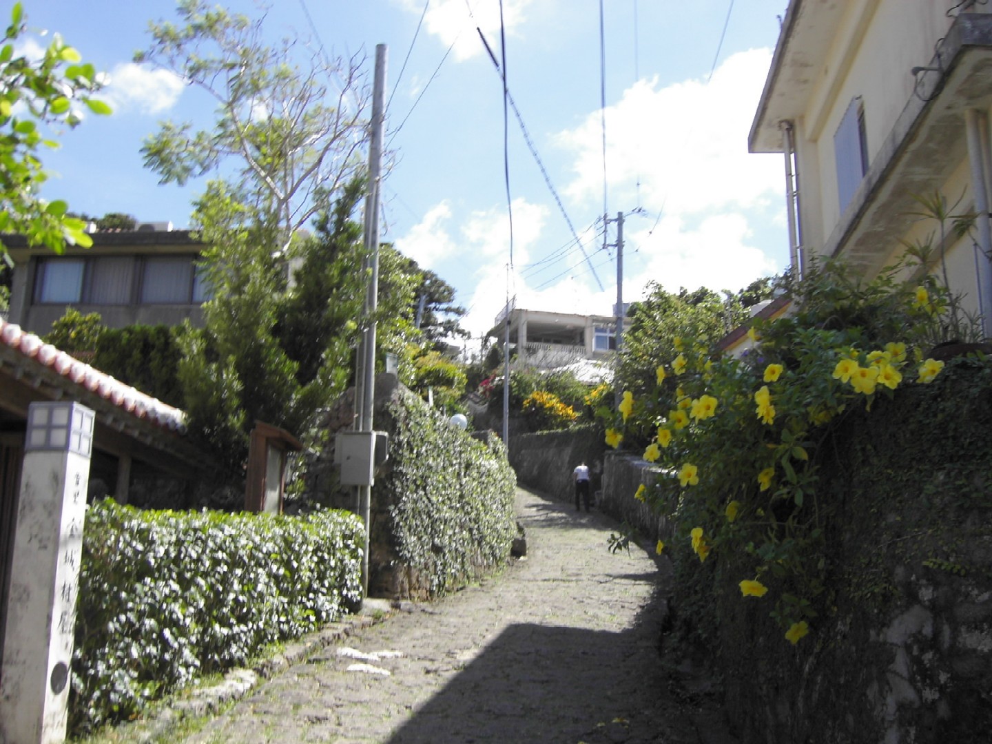 c0082888_049349.jpg