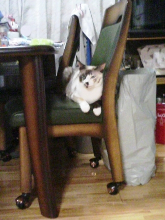 f0050693_0503719.jpg