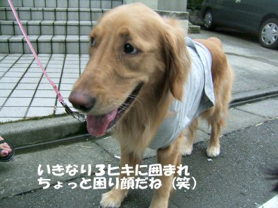c0050400_2352865.jpg