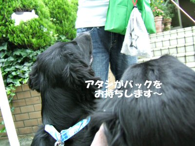 c0050400_237342.jpg