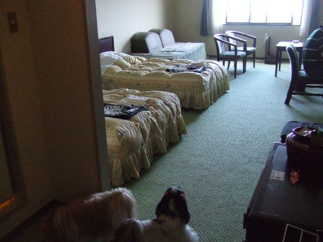 e0050801_034128.jpg