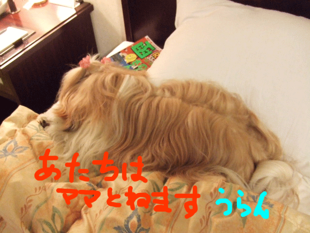 e0050801_0405260.gif