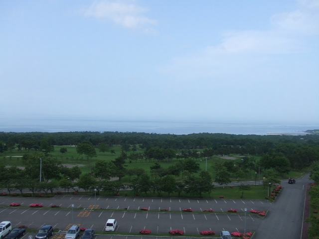 e0050801_083751.jpg