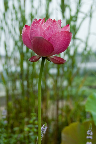 a0044202_201273.jpg