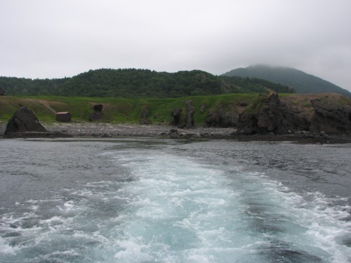 f0020302_12233544.jpg