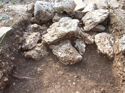 e0024206_2015539.jpg