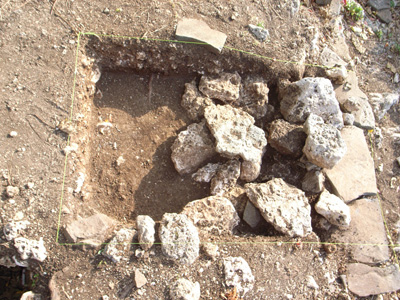 e0024206_2081315.jpg