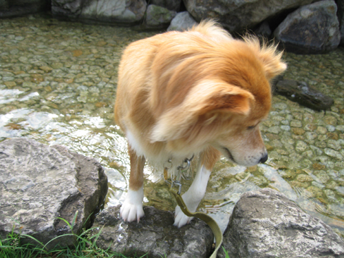 c0030624_1313383.jpg